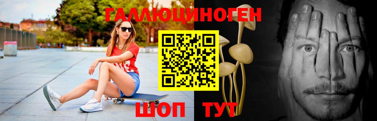 Псилоцибиновые грибы Cubensis  Вход с VPN  Рославль 